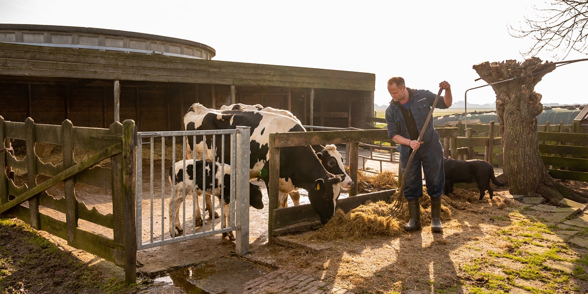 Klaas_Landvanboerenzuivel_boerderijzuivel