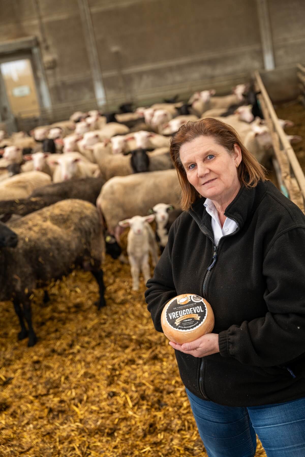 Paradekaasje_platina_schapenkaasje_Boerderijzuivel_volledig