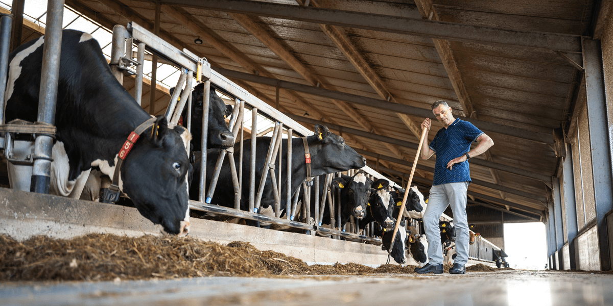 Sjors_Overbeek_Onze_koeien_onze_melk_onze_kaas_Boerderijzuivel